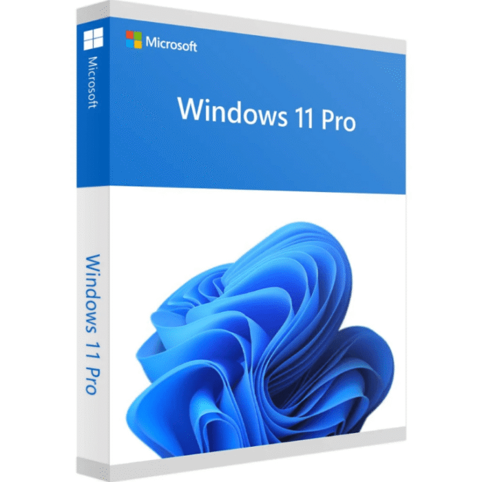 Windows 11 Professional 32/64 Bits